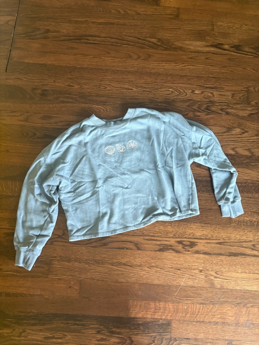 Wild fable cropped long sleeve blue sea shell top